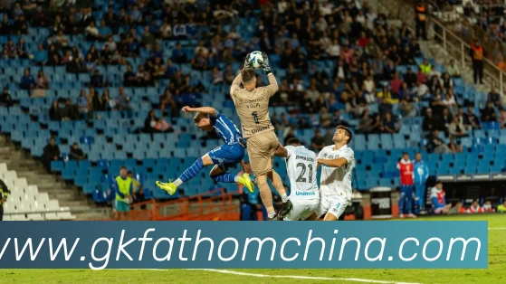 奖项证书
